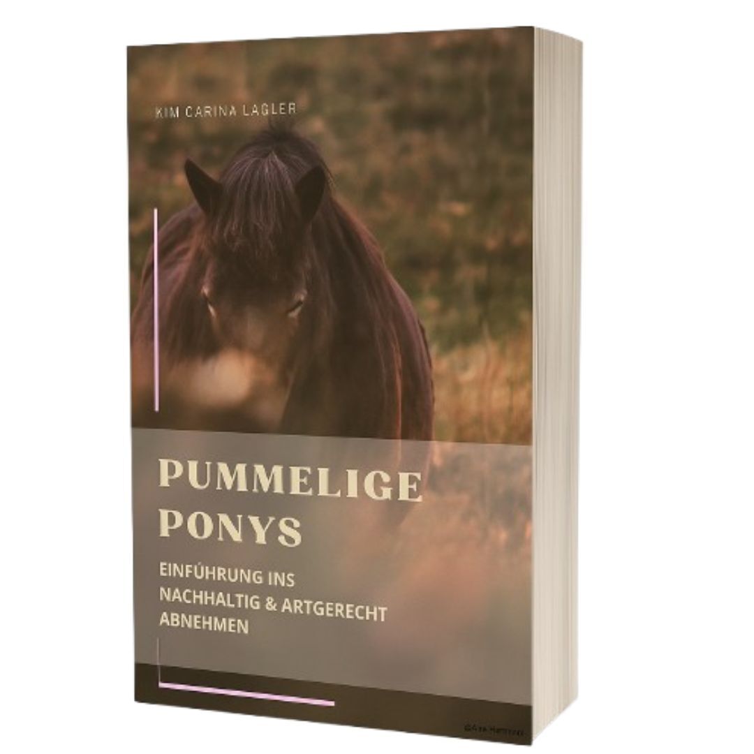 Bild Ablefy-1080x1080.jpg