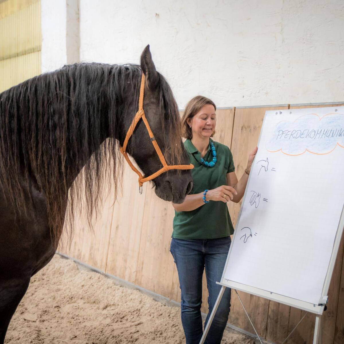 T_Anabel Lehrcoach FÜhrung mit pferd-1200x1200.JPG