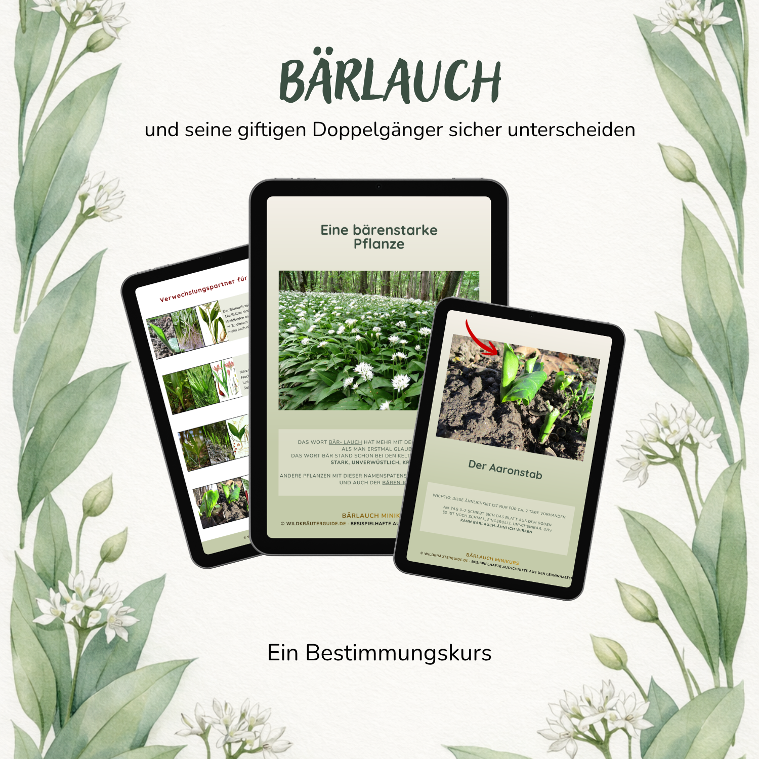 Bärlauch Quadratisch-1500x1500.png