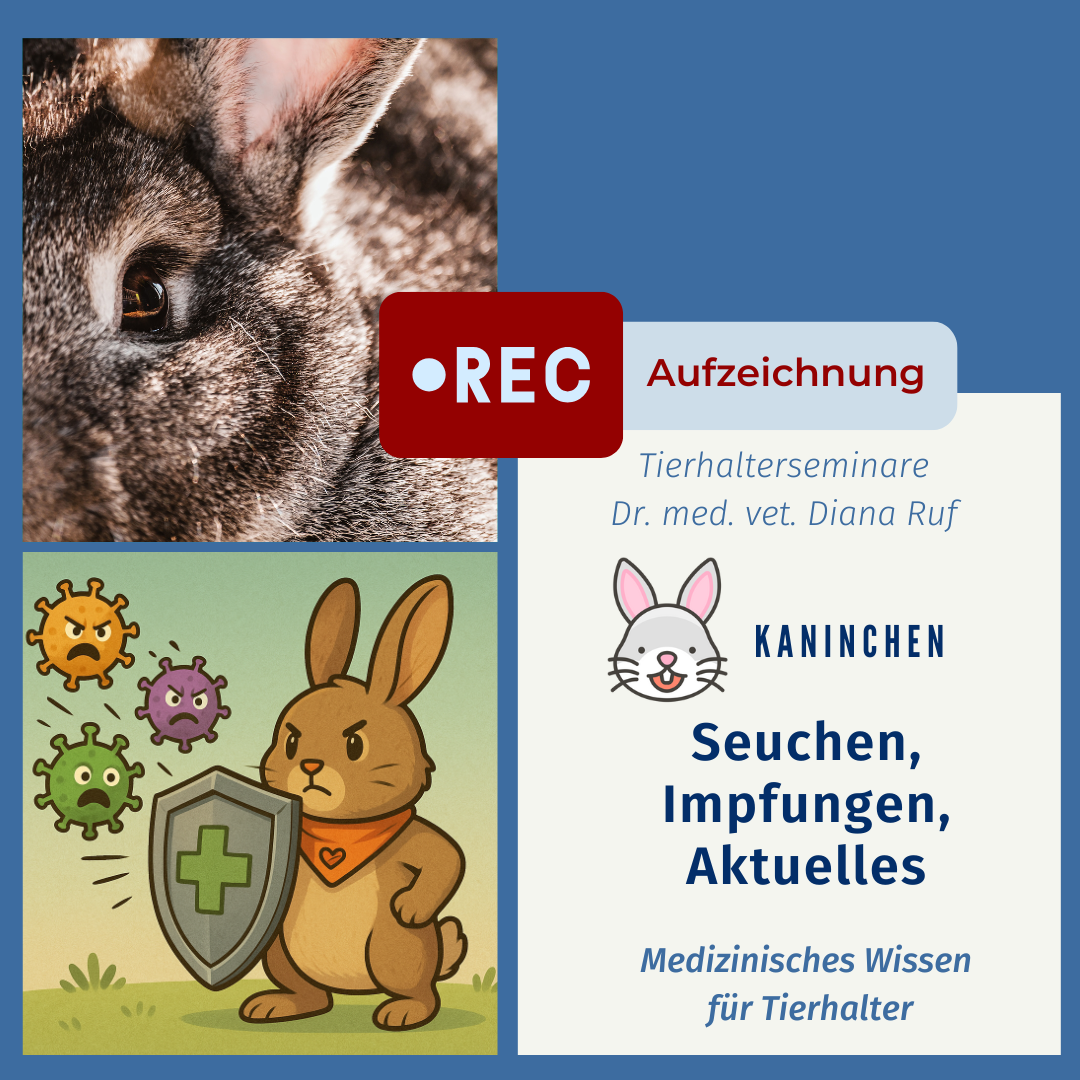 seuchen aufzeichnung-1080x1080.png