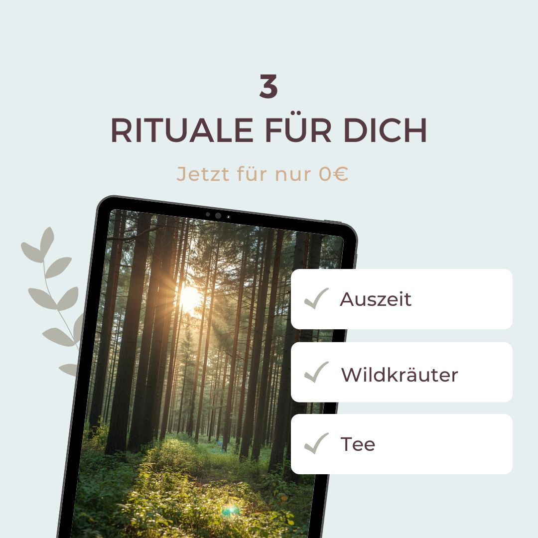 3 Waldrituale für dich