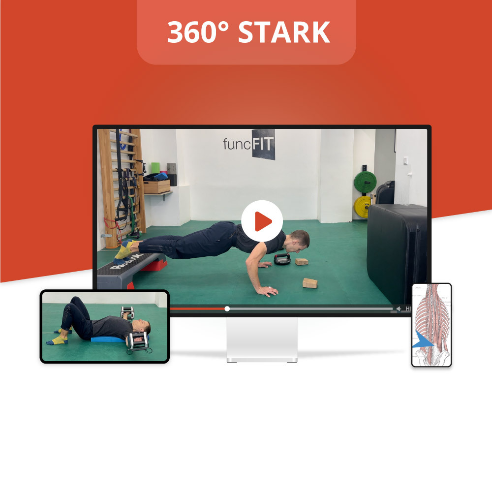 Modul-Cover-Stark-1000x1000.jpg