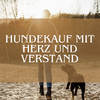 Banner für Videokurs