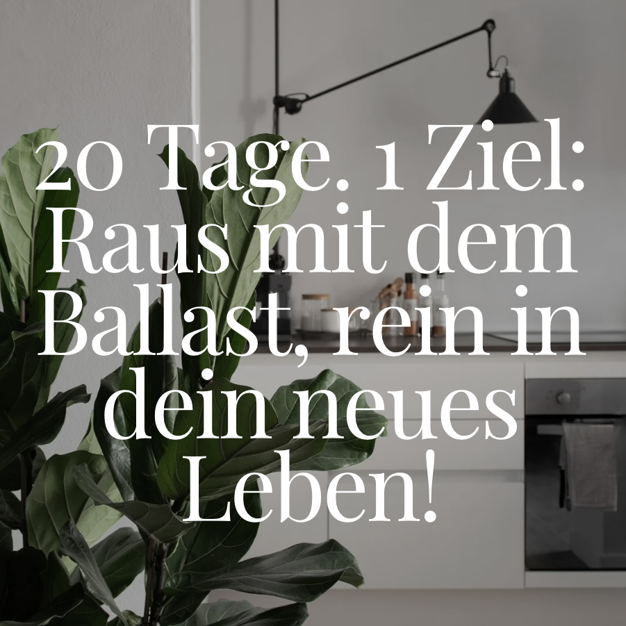 Bildschirmfoto 2025-11-25 um 15.07.36-901x901.png