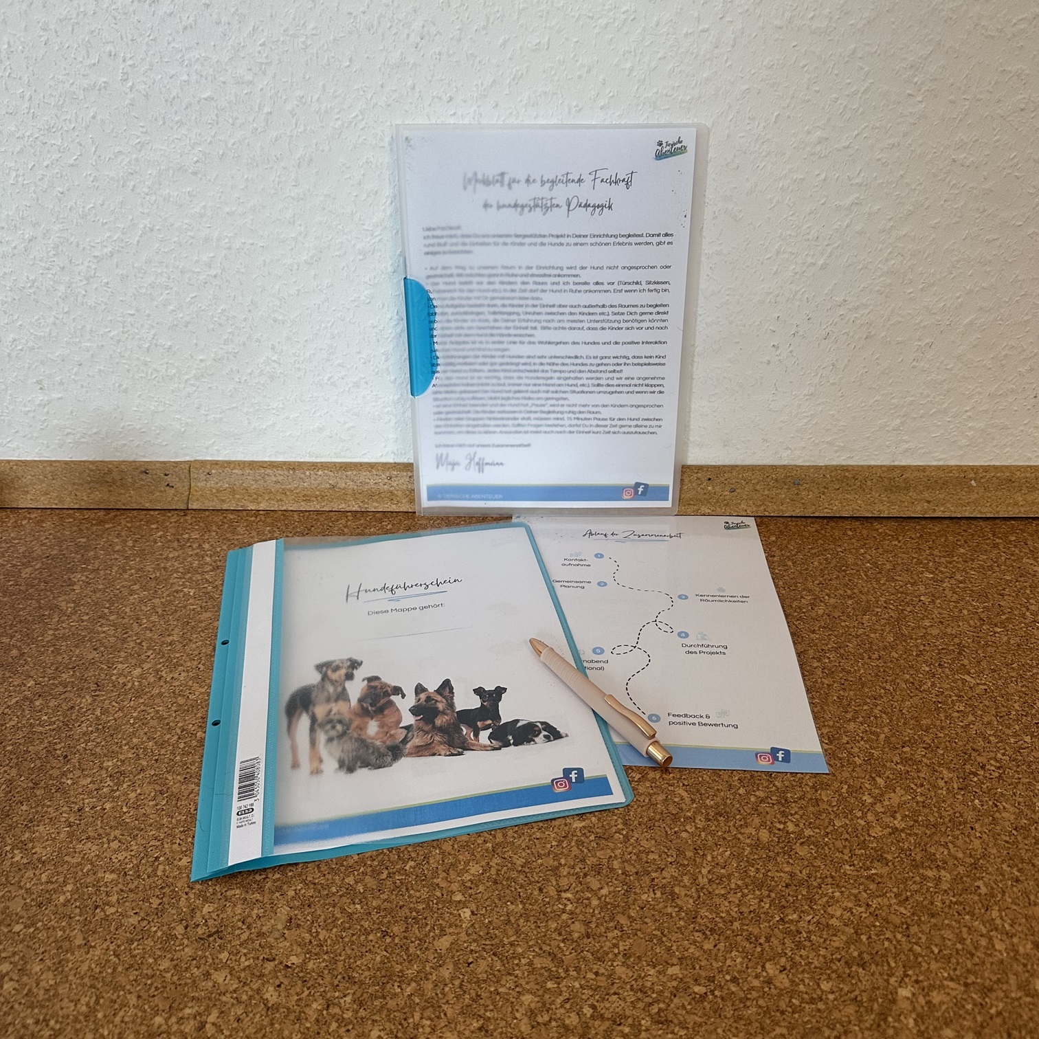 XXL Bundle - Hundeführerschein für Kinder