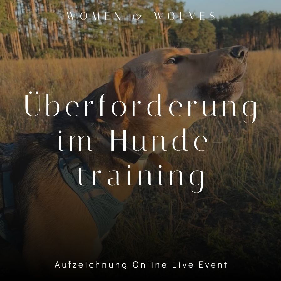 WOMEN & WOLVES-4-899x899.jpg