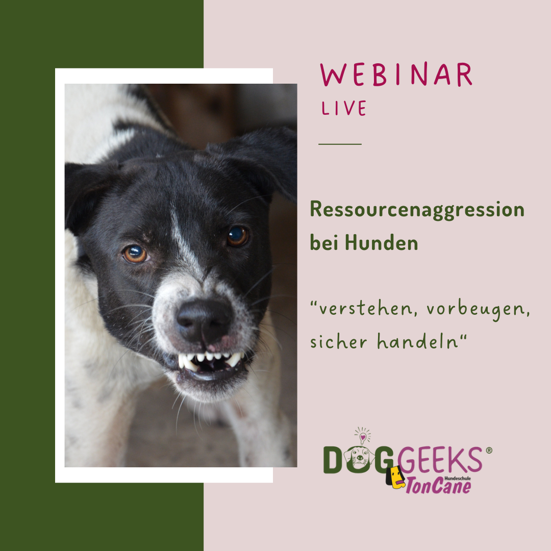 Ressourcenaggression Natalie