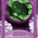 digital-icon