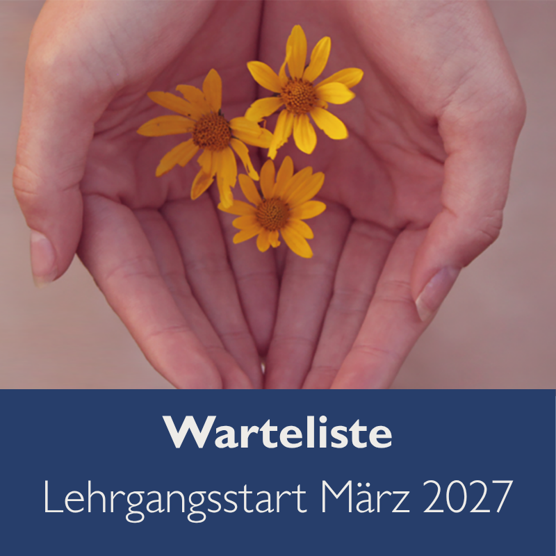 Warteliste Sexu 2027-800x800.png