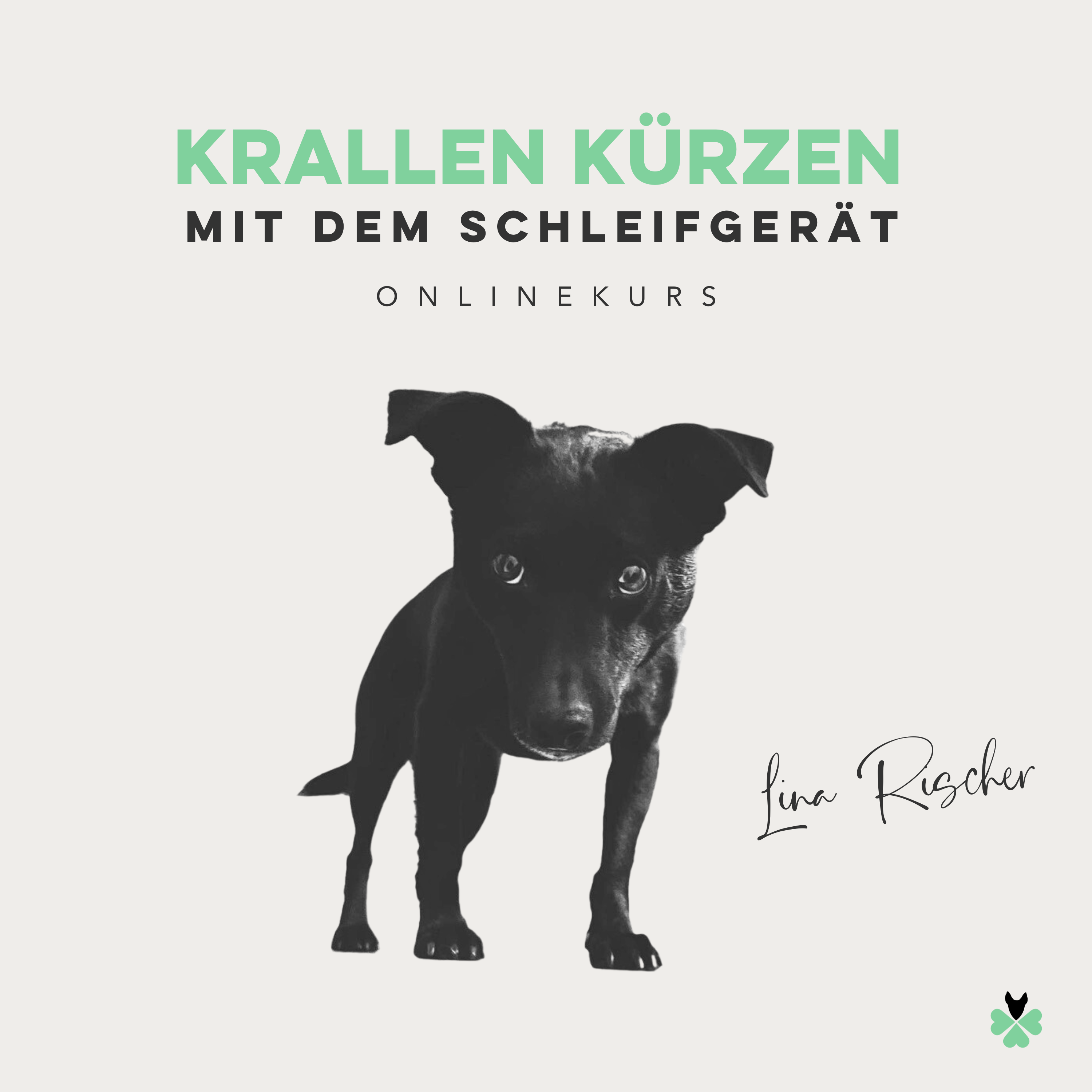 Titelbild Krallenkuerzen-3000x3000.png