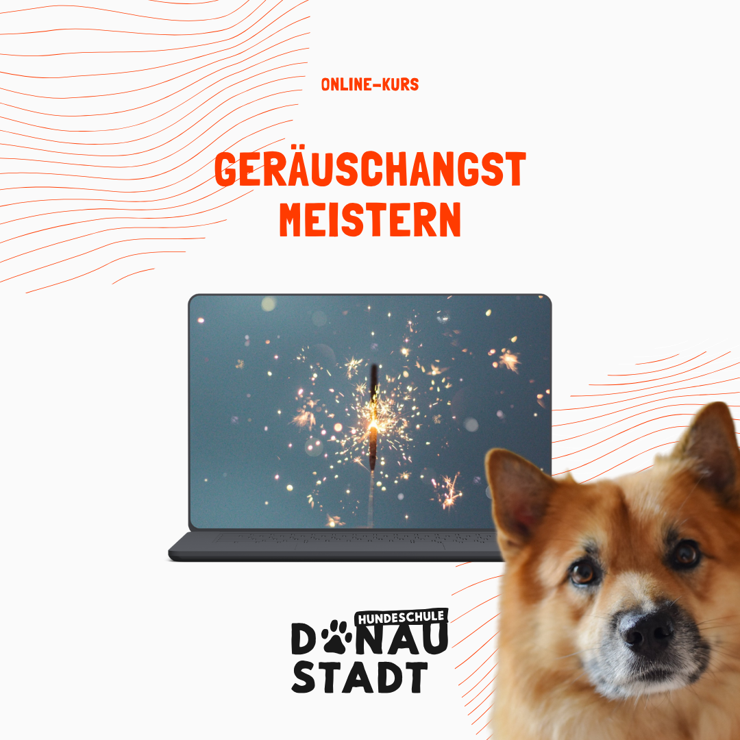 Copy of HSDS-FB-Header (Facebook Post (Square)) (1)-1080x1080.png