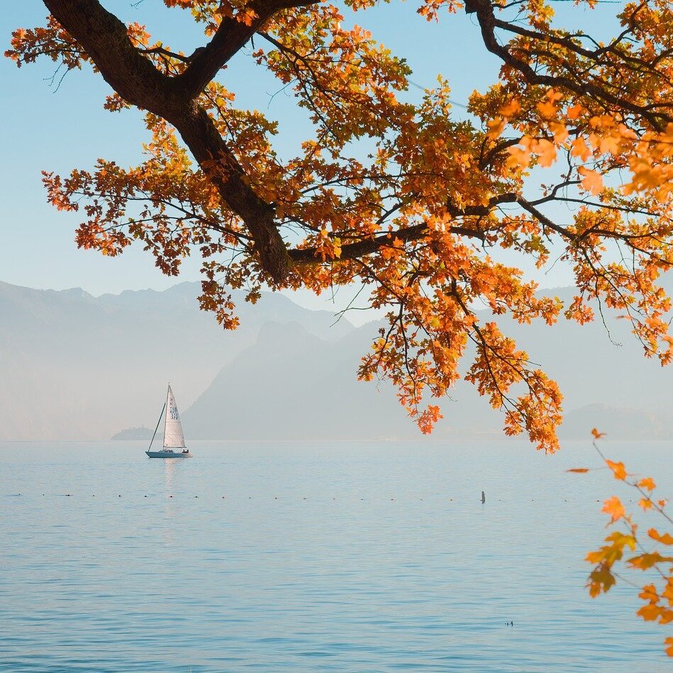 Beende den Kampf mit den Gefühlen