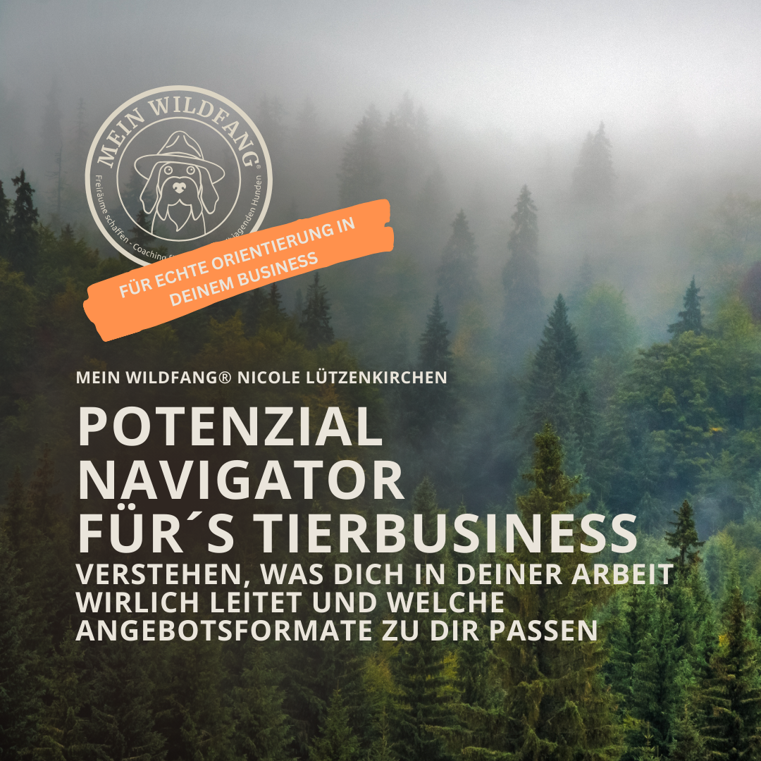 Produktbilder Elopage (1)-1080x1080.png