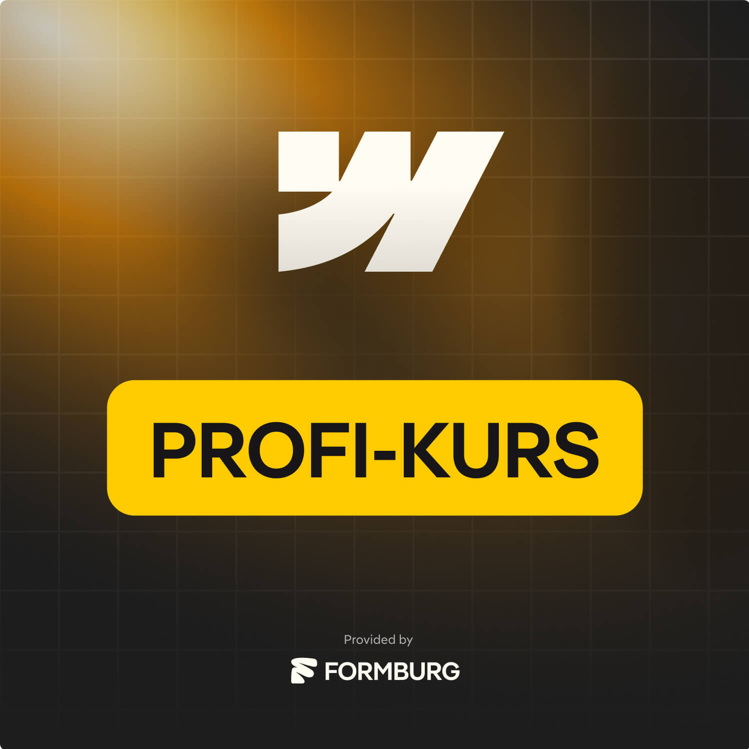 webflow-profi-kurs-cover-1497x1497.jpg