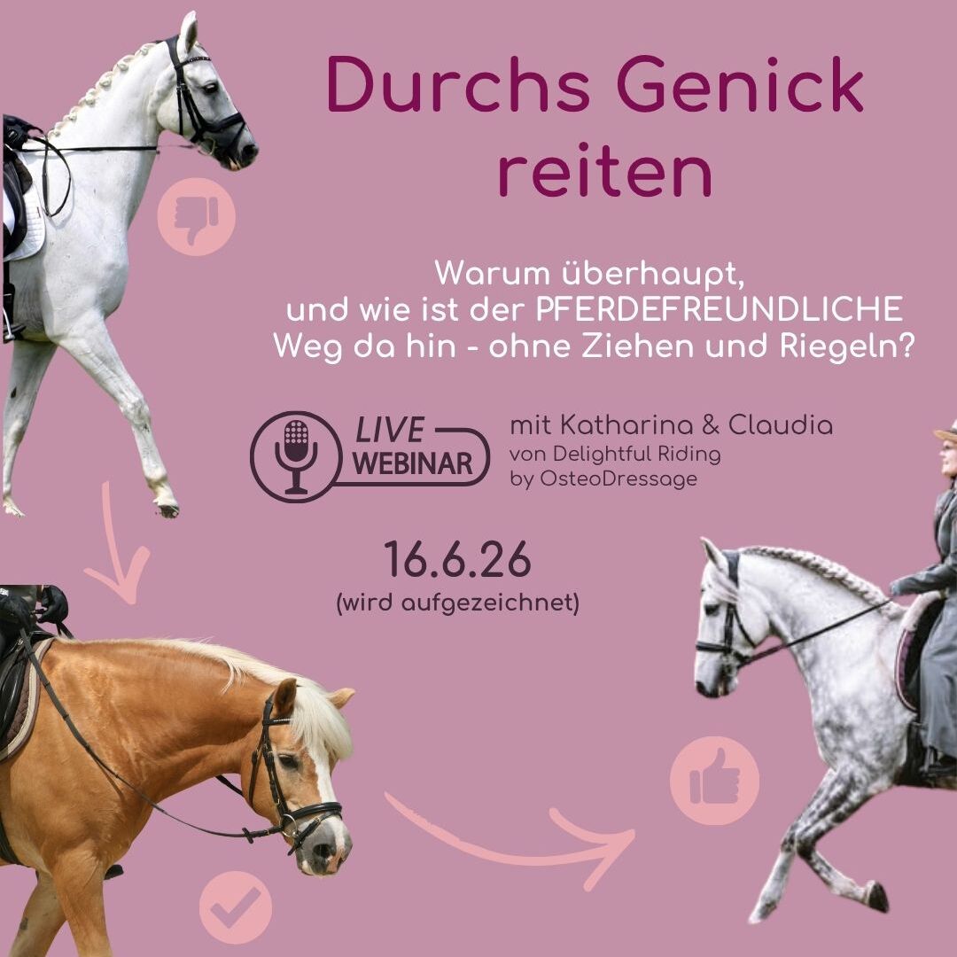 Webinar  titel     (240 x 60 px) (1080 x 1080 px)-3-1080x1080.jpg