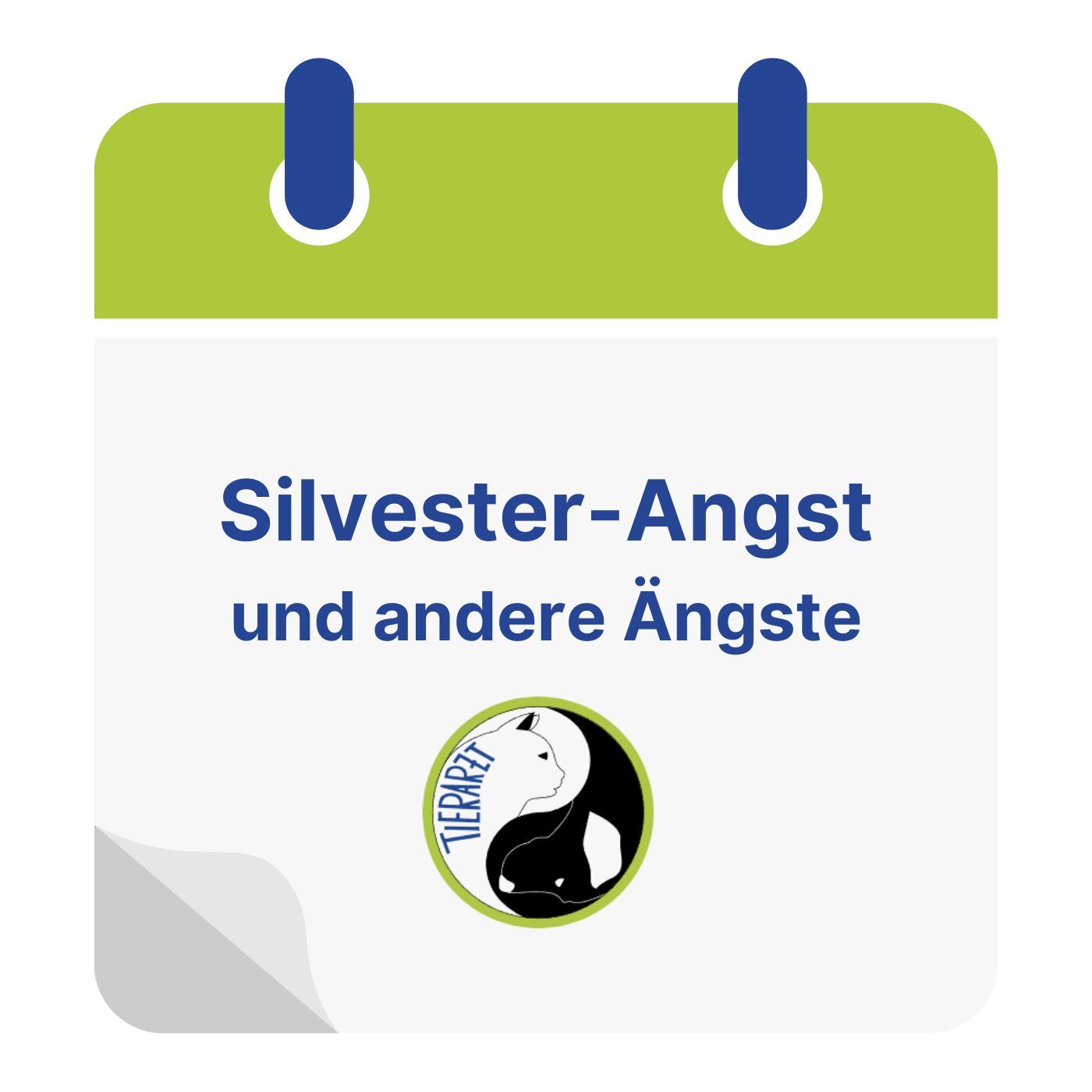 Silvester-Angst