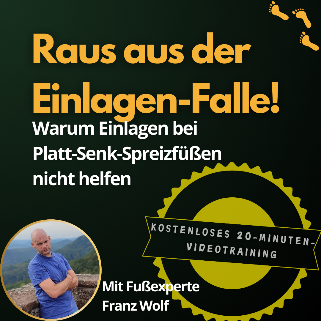 Cover_Einlagen_Falle(3)-1080x1080.png