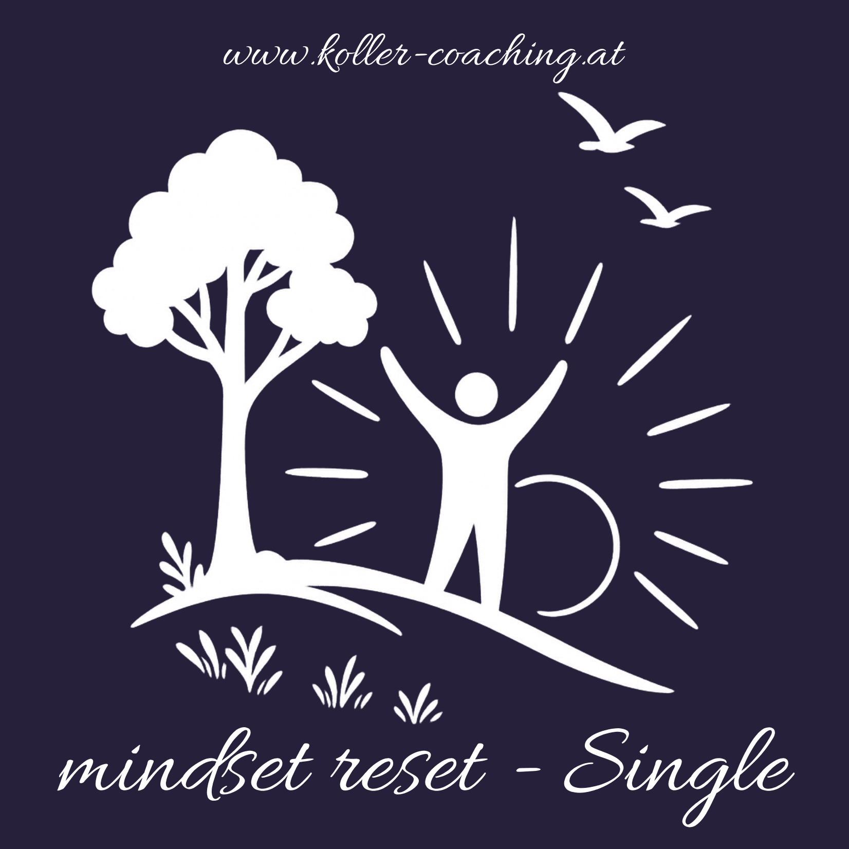 mindset reset Single