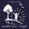 mindset reset Single