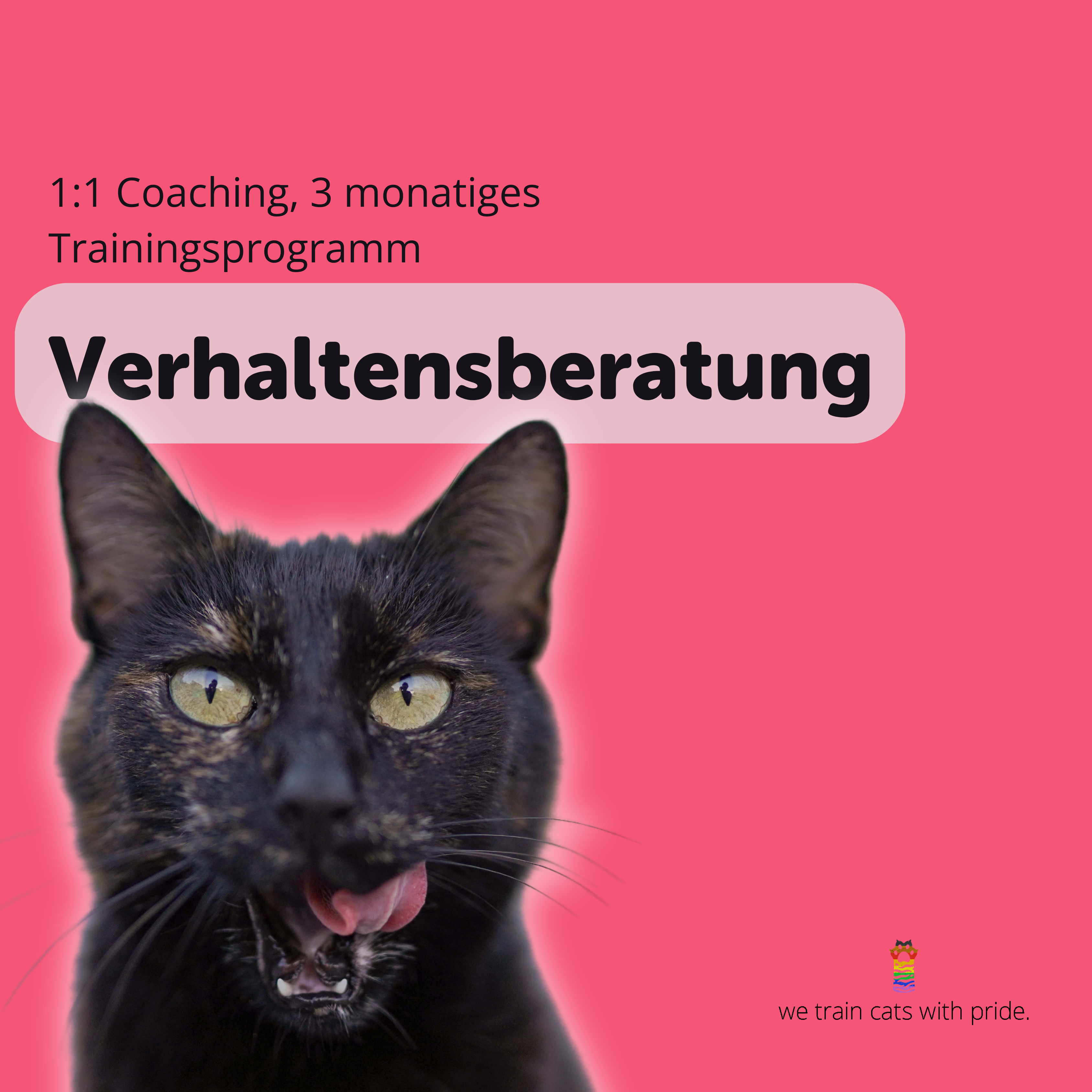 Verhaltensberatung-3375x3375.png