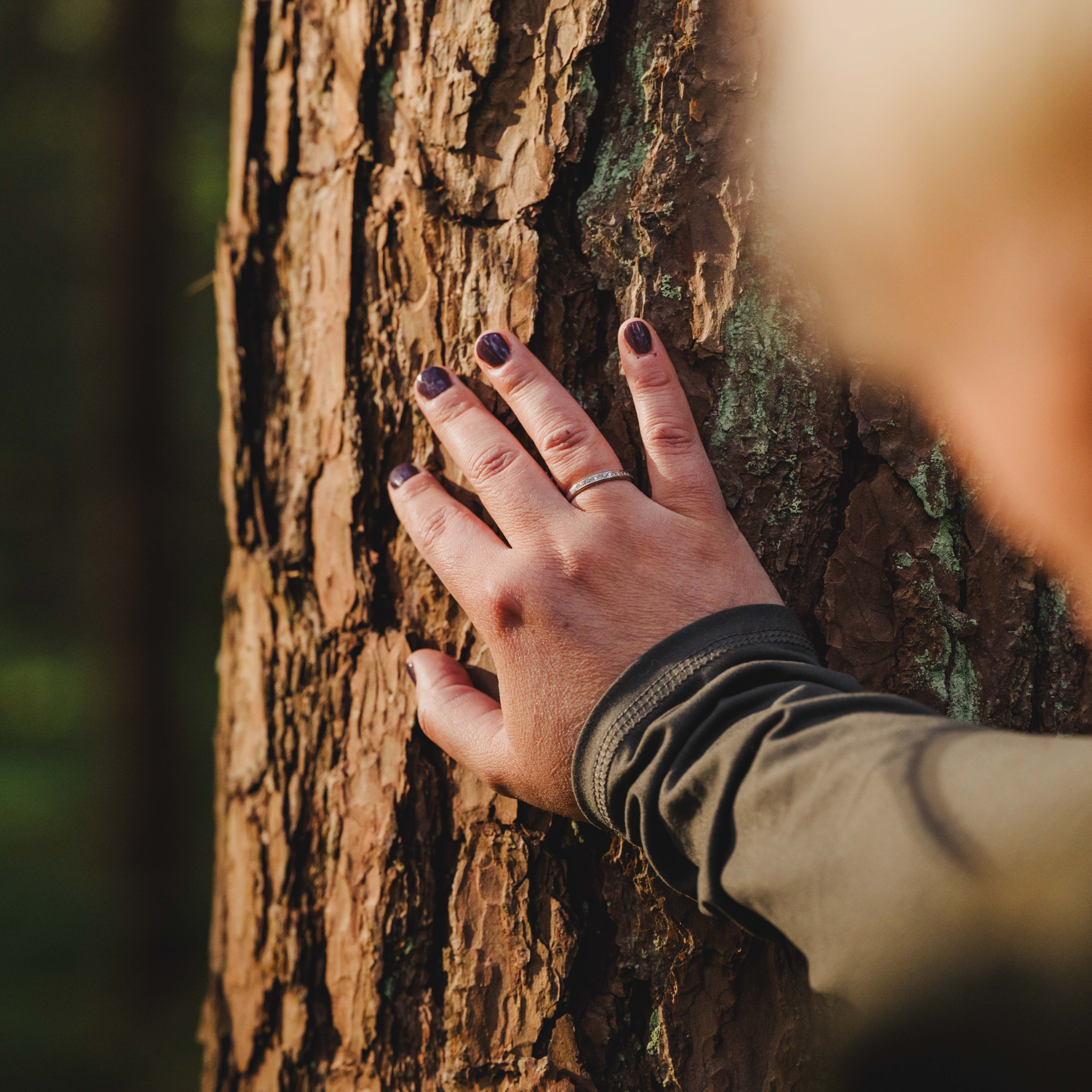 ForestTherapyTrail-65-5504x5504.jpg