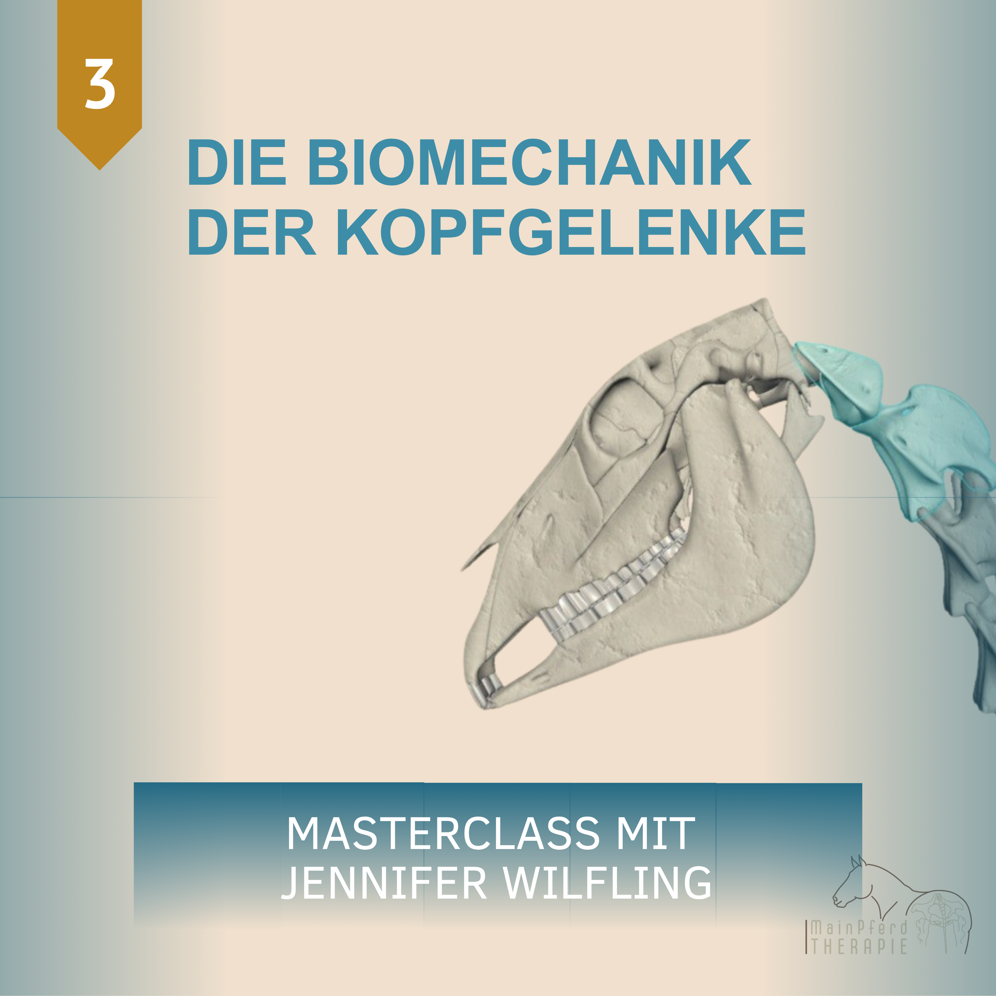 DIE BIOMECHANIK DES KIEFERGELENKS (1)-3375x3375.png
