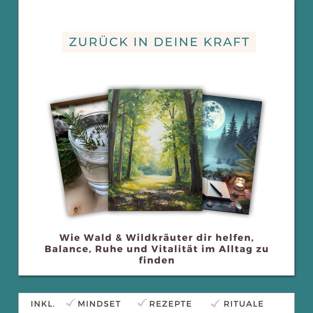 Zurück in deine Kraft