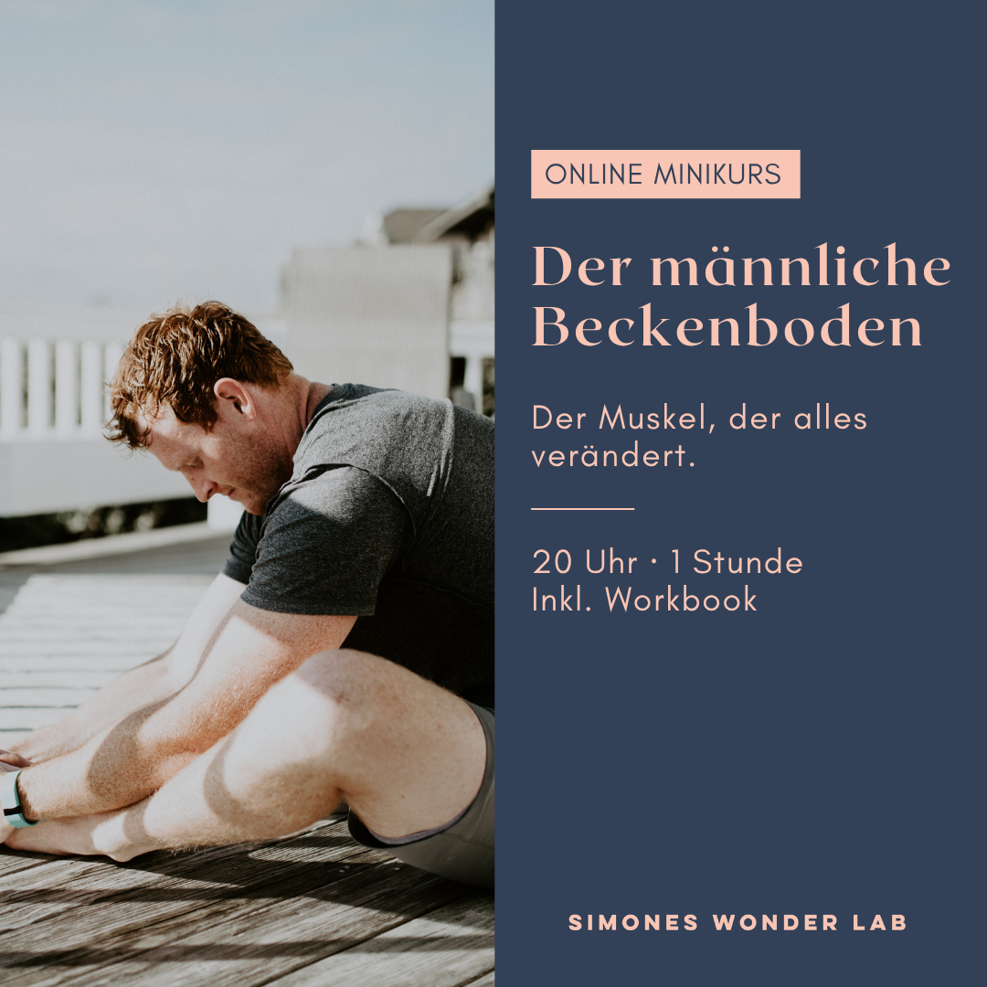 Der männliche Beckenboden