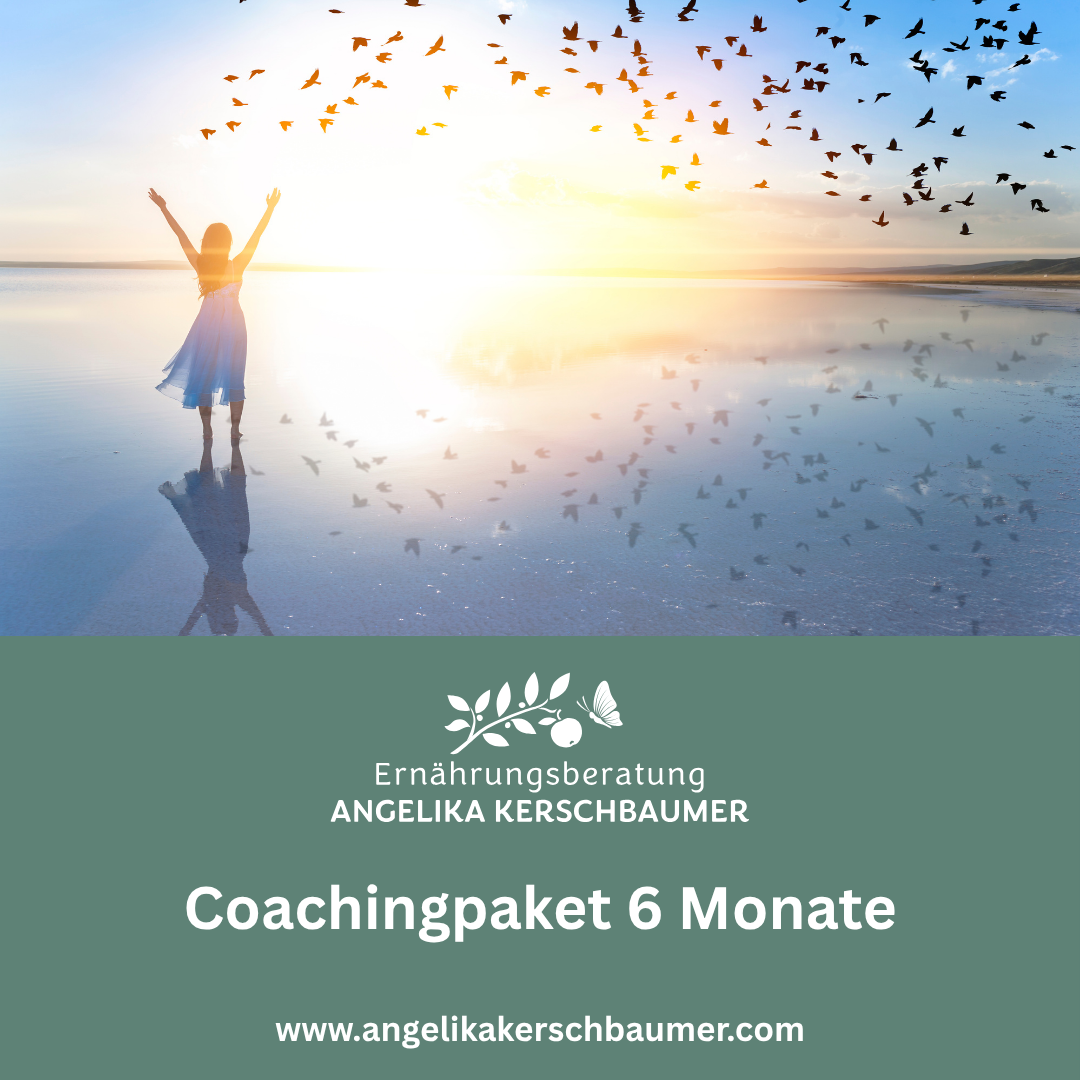 Coachingpakete ohne Preis (2)-1080x1080.png