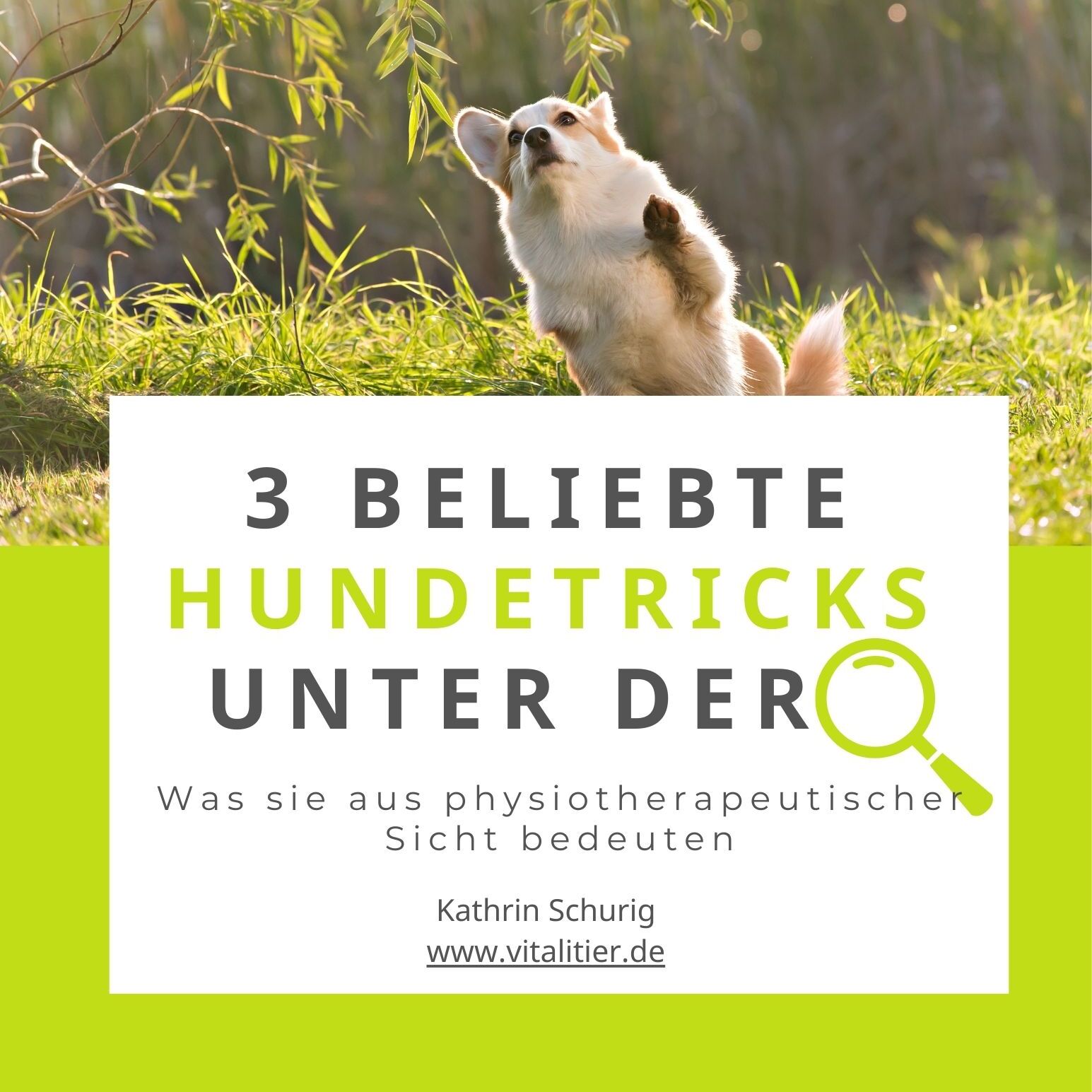 Ebook 3 Tricks-1545x1545.jpg