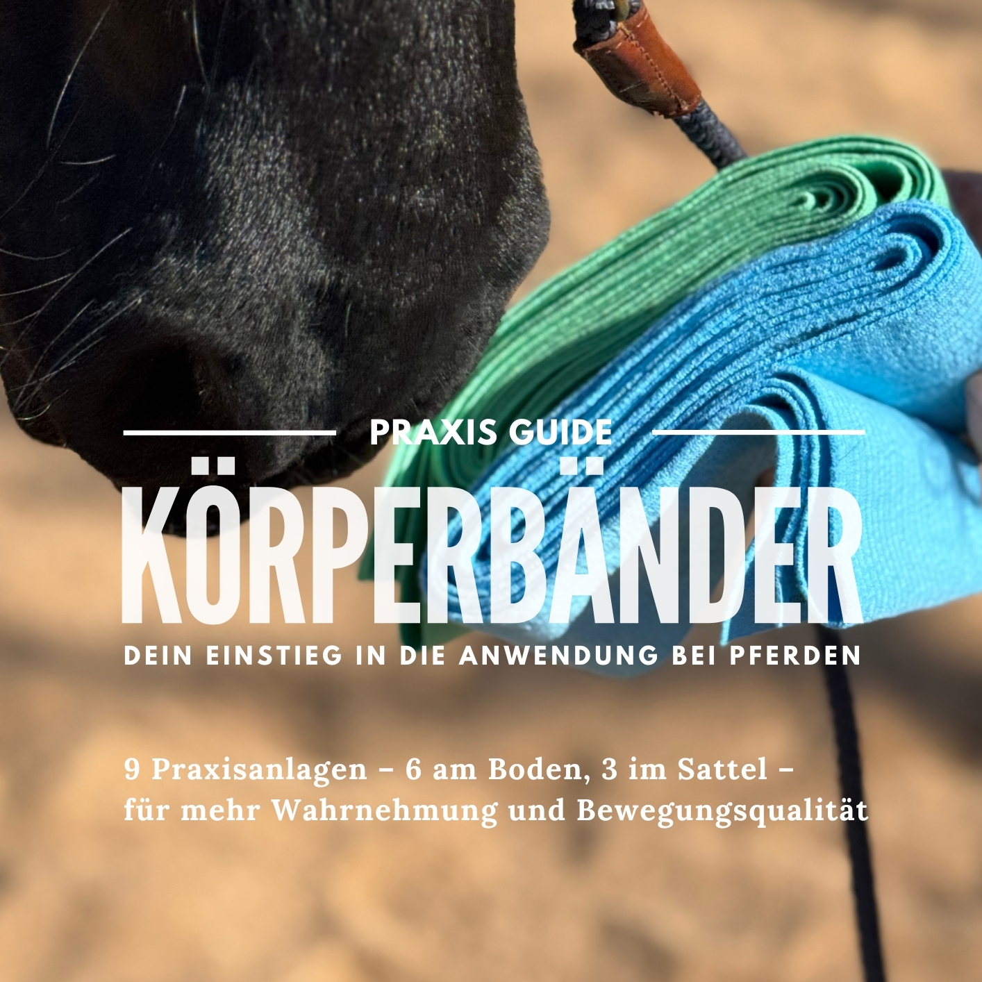 Körperbänder Praxis Guide