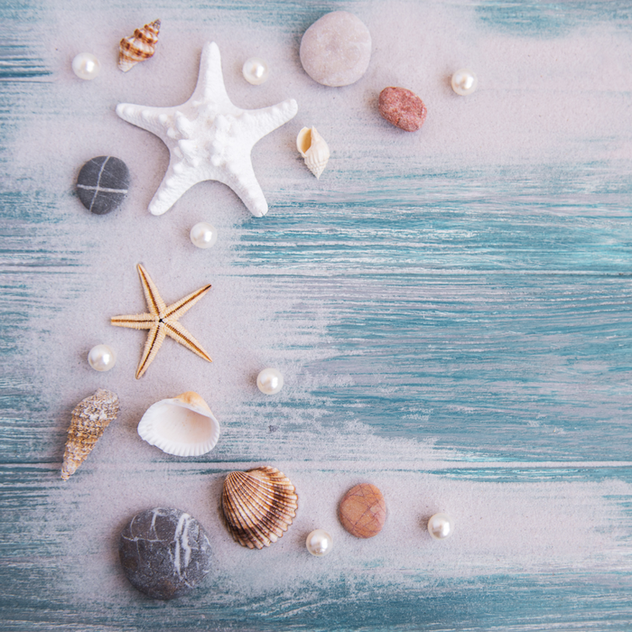 Muscheltafel
