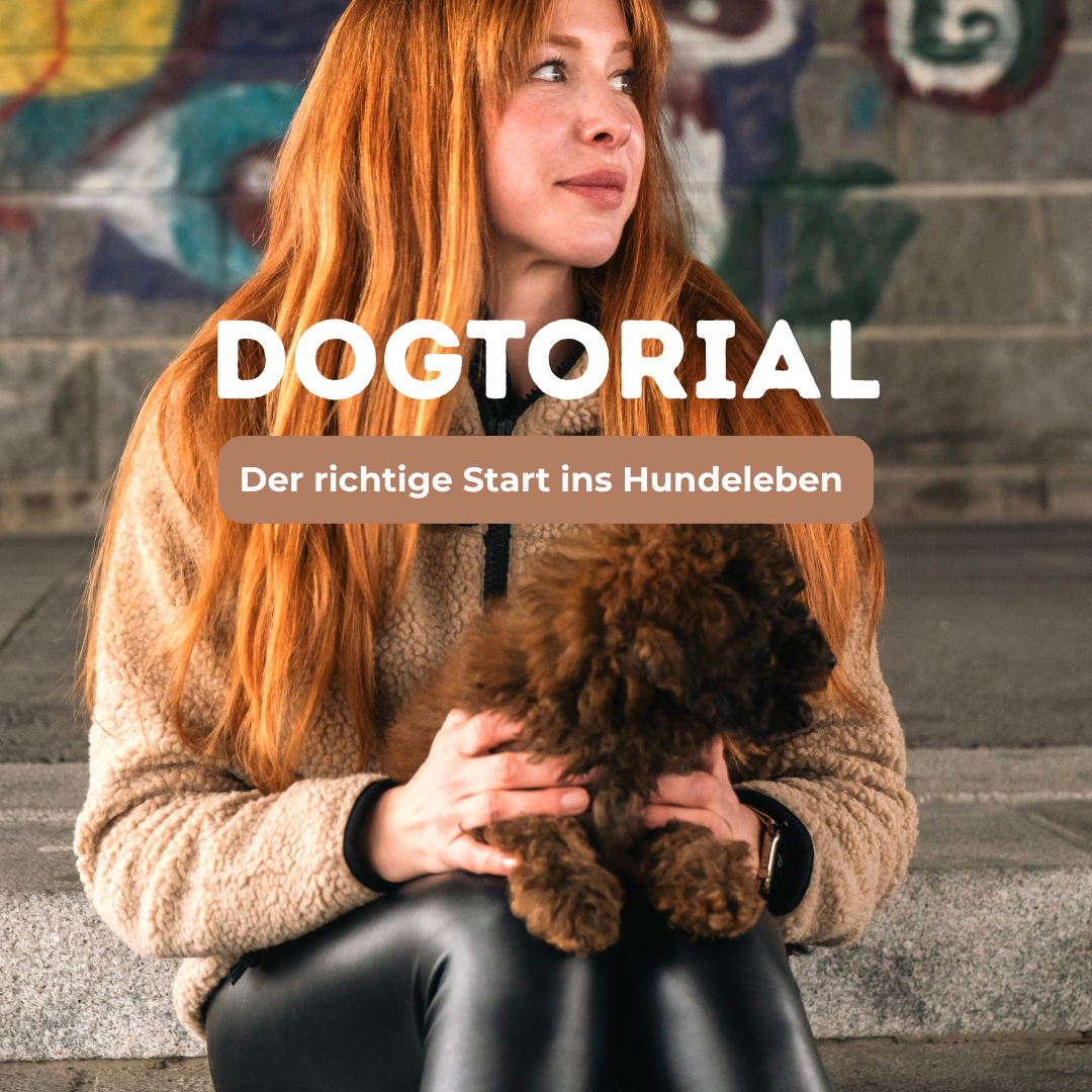 DOGTORIAL - 1-1080x1080.png