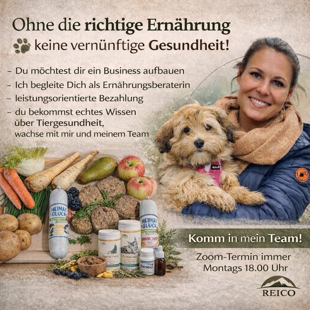 ChatGPT Image 31. Jan. 2026, 17_57_13-1024x1024.png