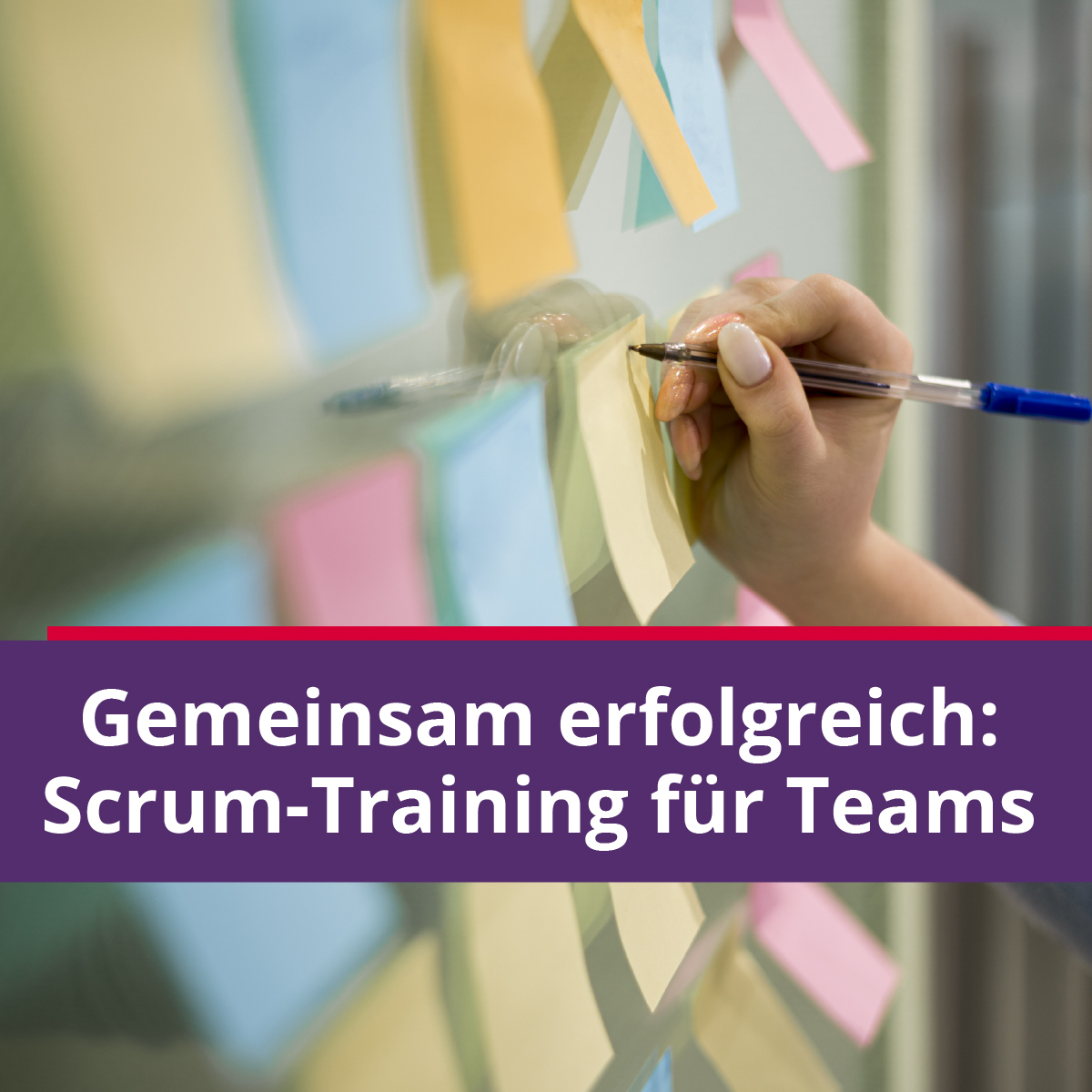 Scrum Training für Teams | Online-Training für max. 8 Personen.jpg