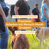 Mensch-Hund-Gruppe