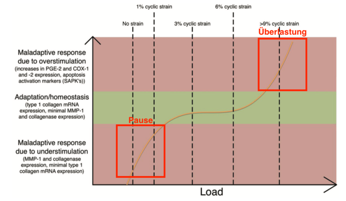 loaded_image