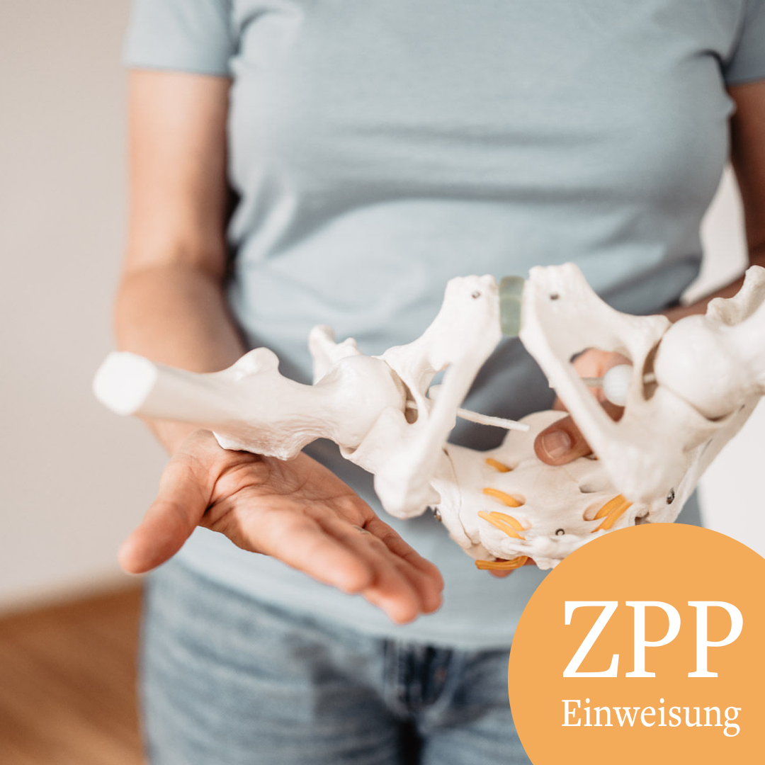 BbKL-ZPP Einweisung-1080x1080.png