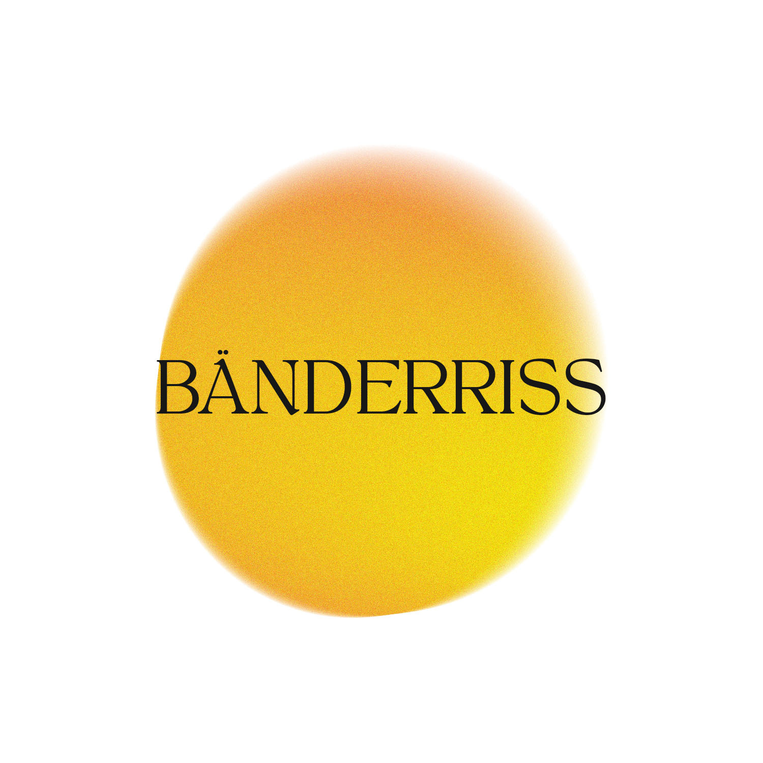 0033_Bänderriss-1500x1500.jpg