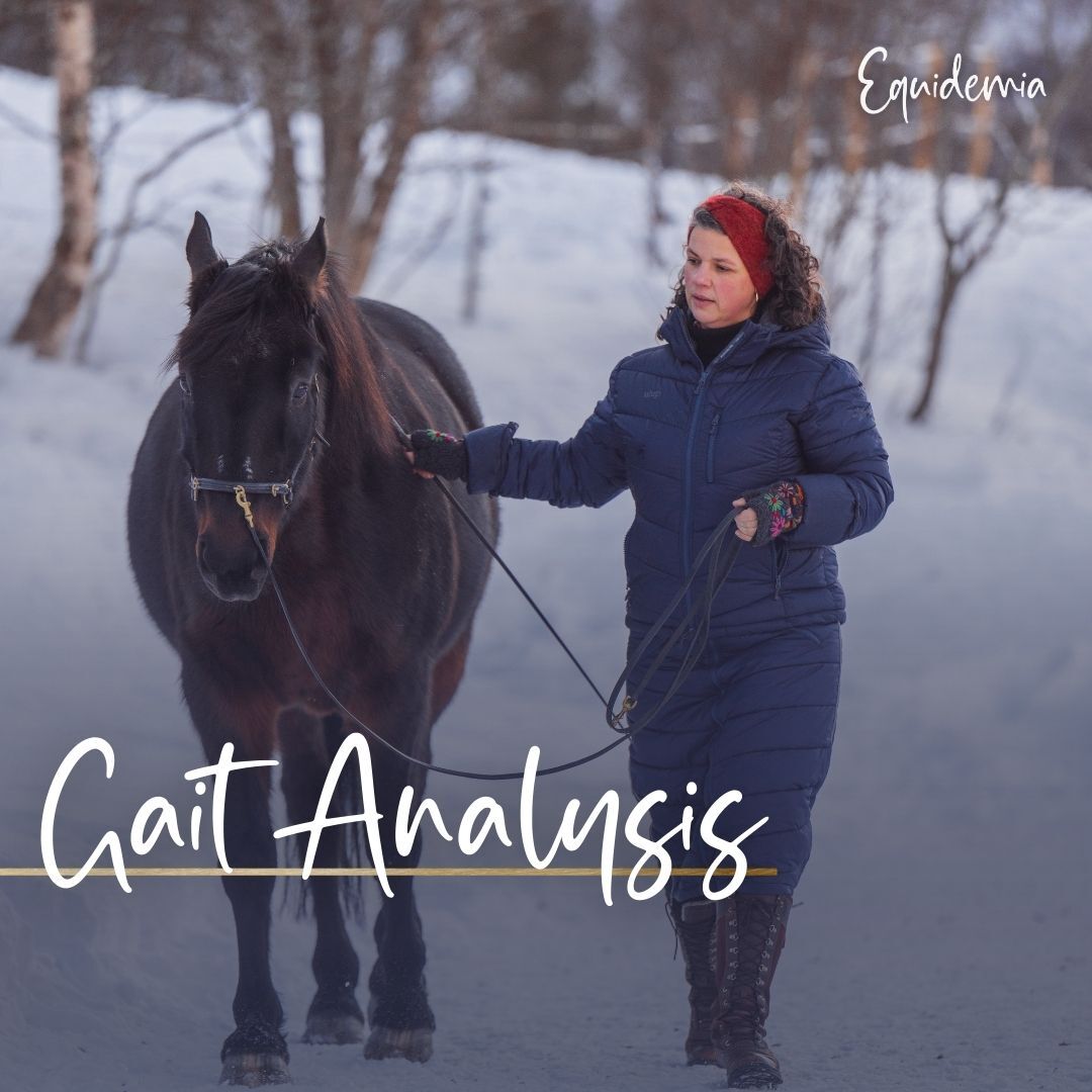 Thumbnail Welcome (2)-1080x1080.jpeg