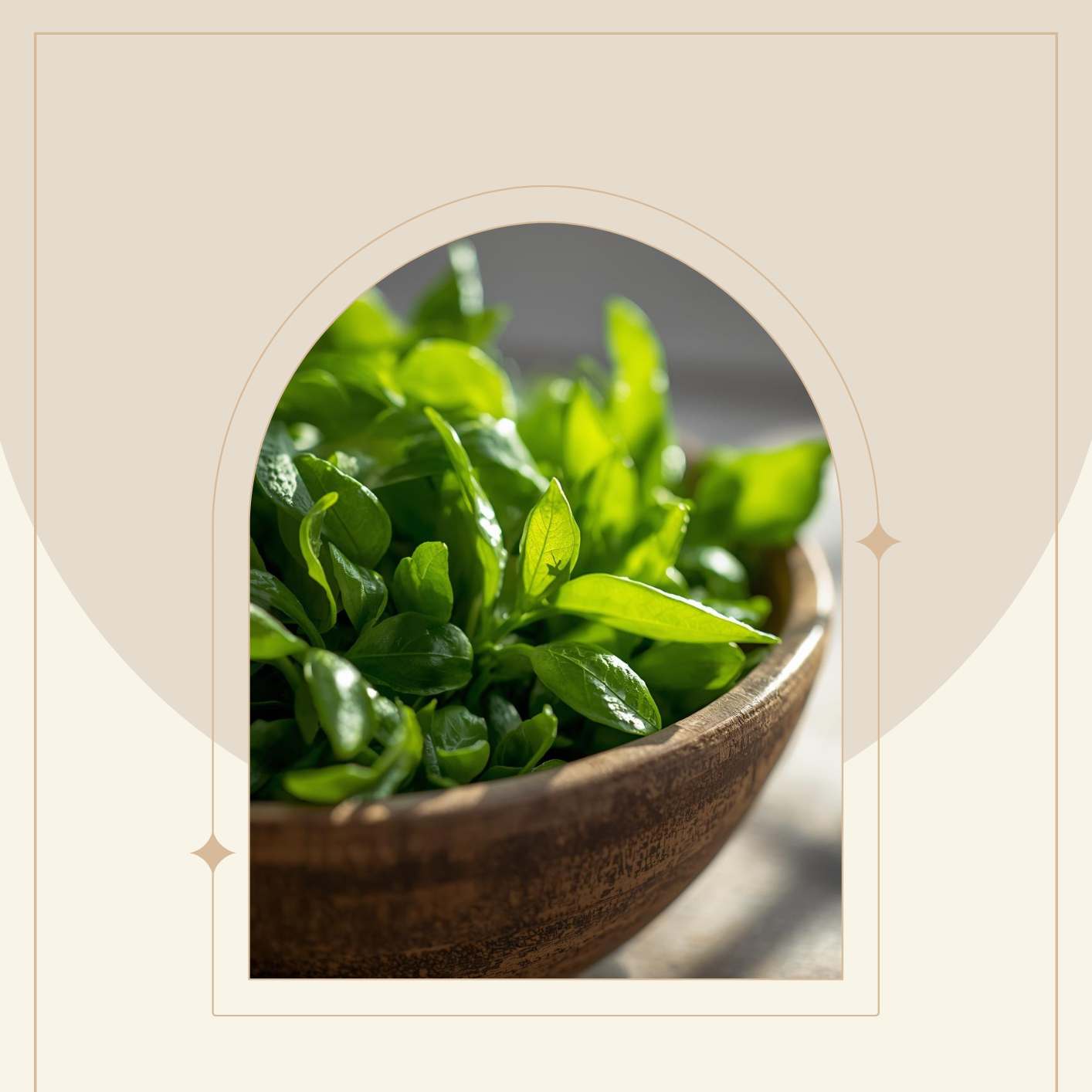 5 Lebensmittel Cholesterin Cover-1414x1414.png