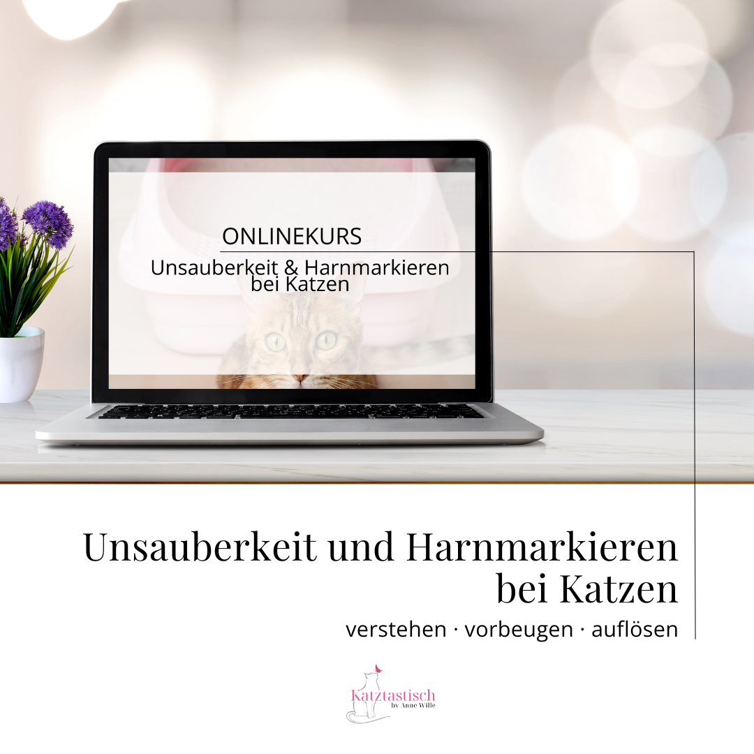 Ablefy Cover Unsauberkeit-1080x1080.png