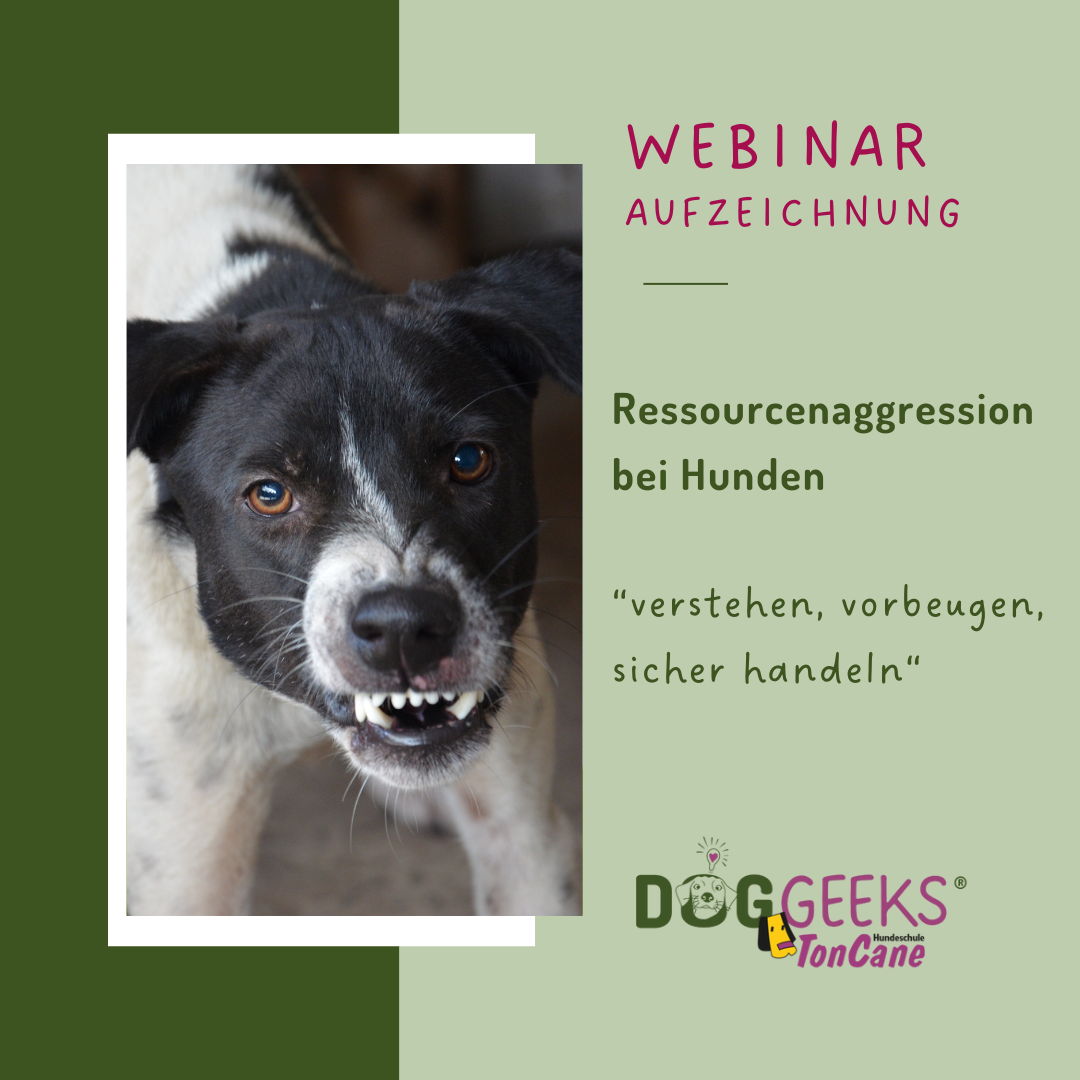 ressourcen auf