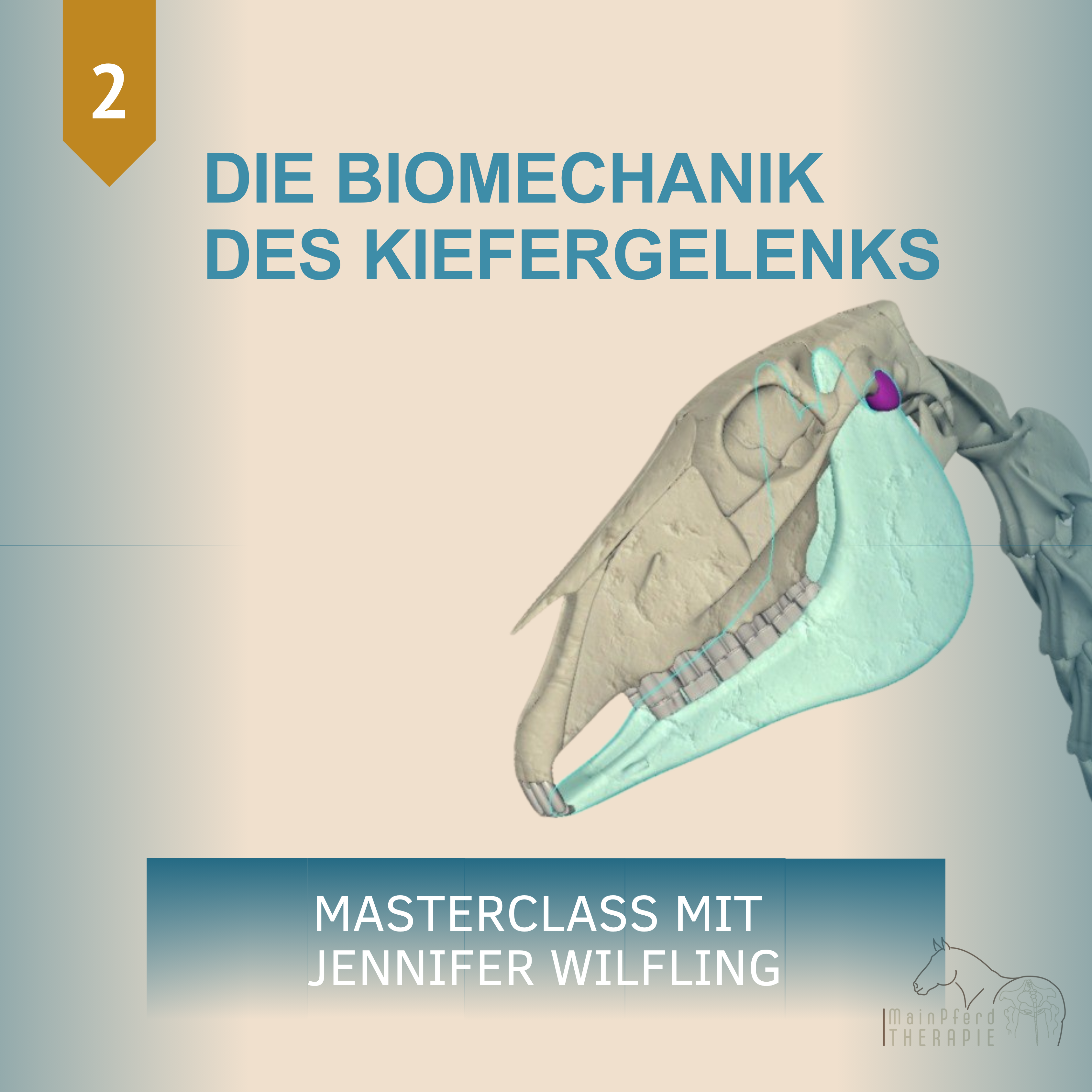 DIE BIOMECHANIK DES KIEFERGELENKS (2)-3375x3375.png