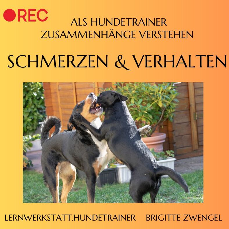 Aufzeichnung-788x788.jpg