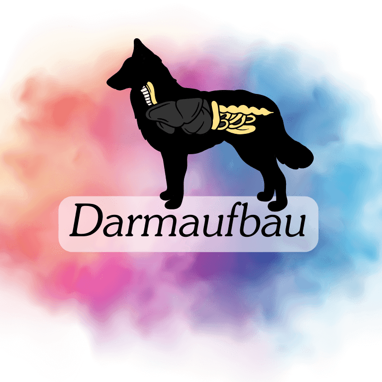 darmaufbau-bei-hunden-768x768.png