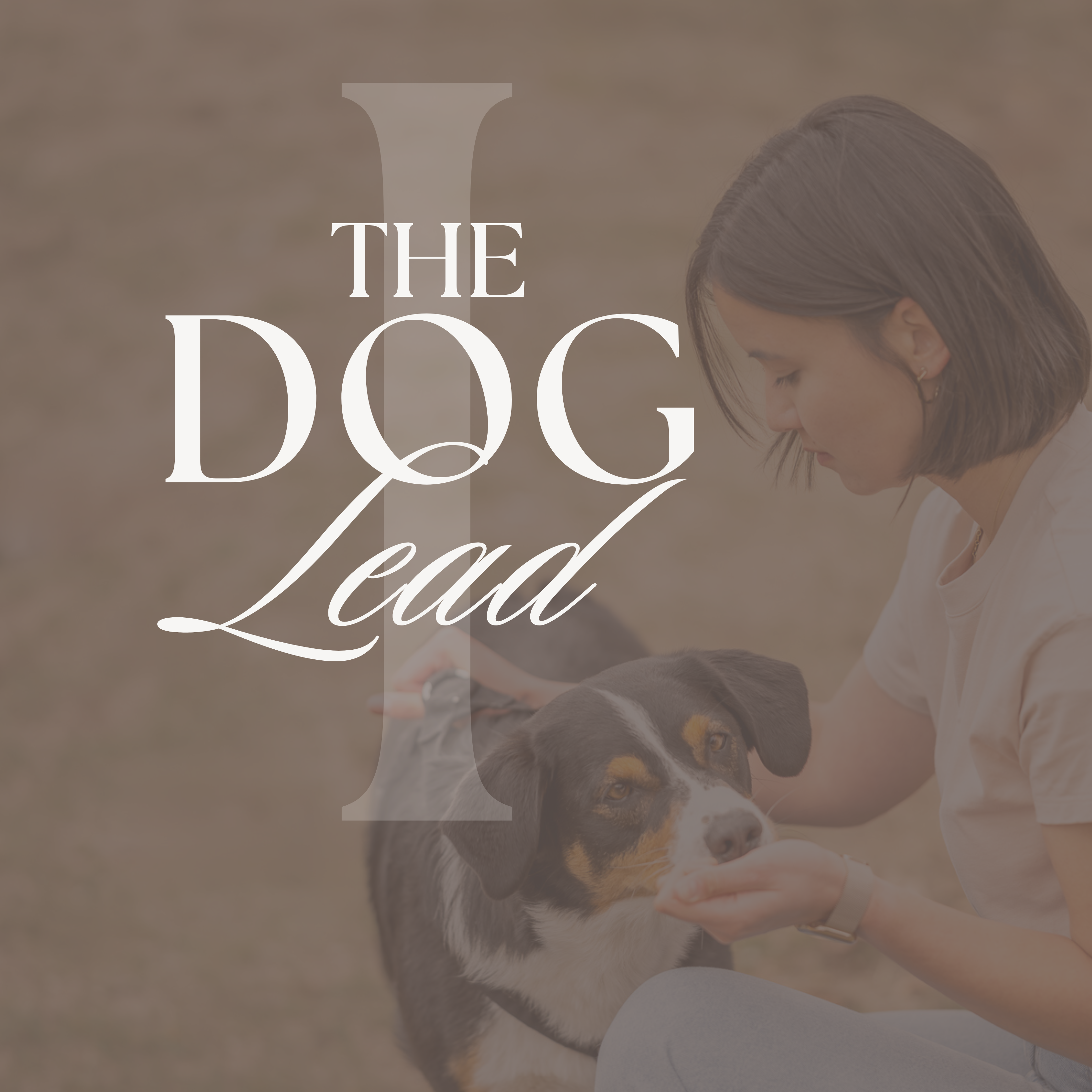 Titelbild für ablefy-3375x3375.png