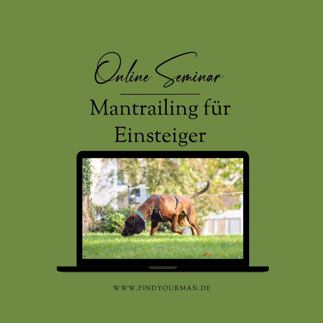 MT für Einsteiger-1080x1080.png