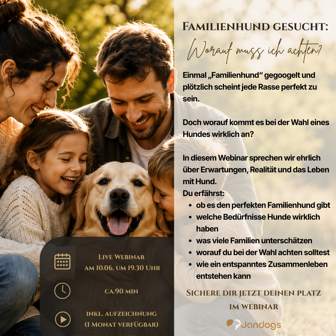 Ad Kurs Hundekauf hell (1080 x 1080 px)-1080x1080.png