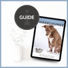 Mockup für Mäkelhunde-Guide